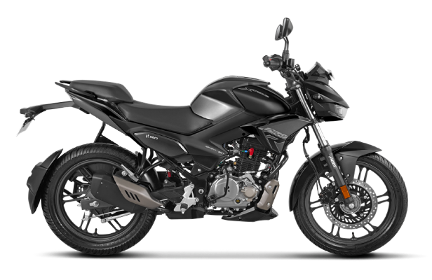 STALLION BLACK